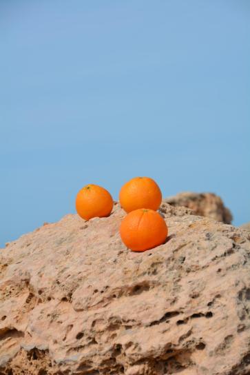 Orangenkunst #2